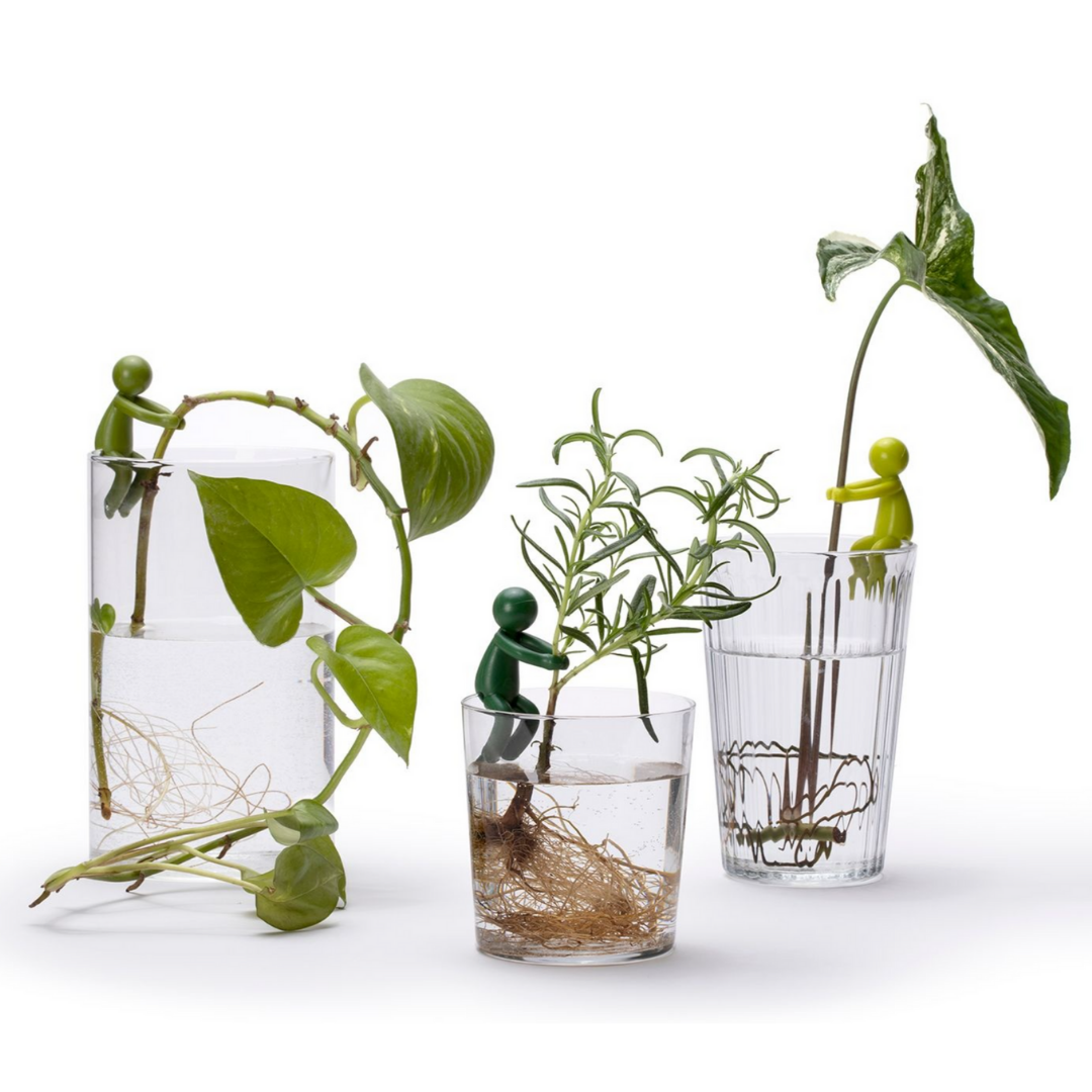 LeafBuddy 2.0
